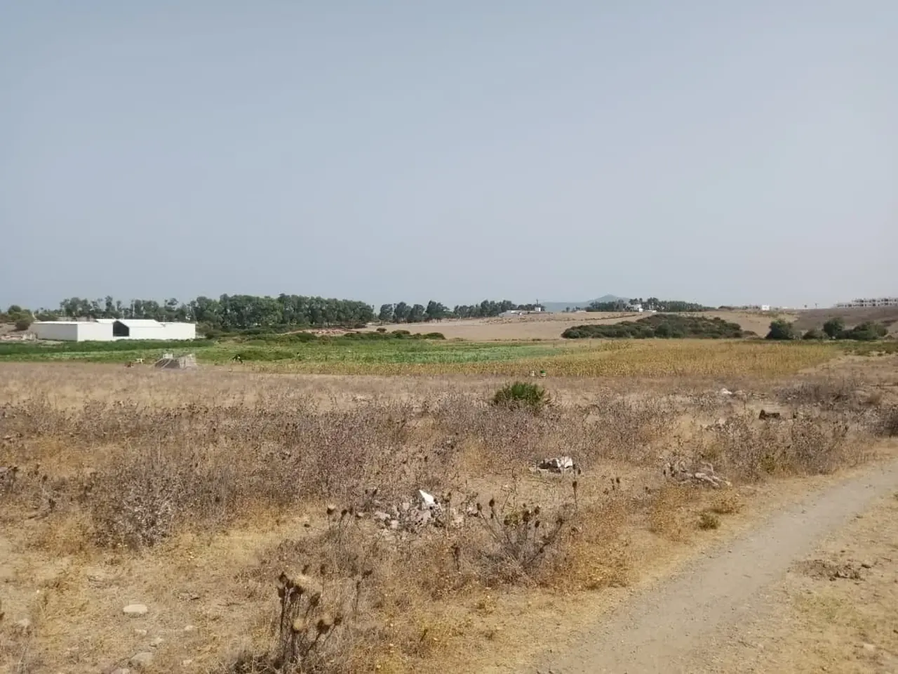 Terrain à vendre à mdiq , R+3, 230 mètres car...